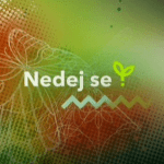 nedejse