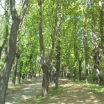 klíčovský lesopark