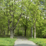 klíčovský lesopark