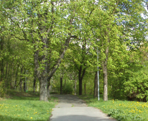 klíčovský lesopark