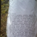 kaceni_Jetelka_dopis