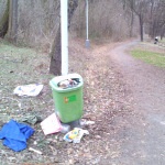 cesta k jezírku na Jetelce