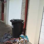 rozházené odpadky z popelnic Pod Krocínkou