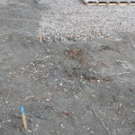 po smrku ani památky