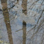 vodarybnik-15tunkatune02_galerie-980